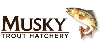 Musky Trout Hatchery logo